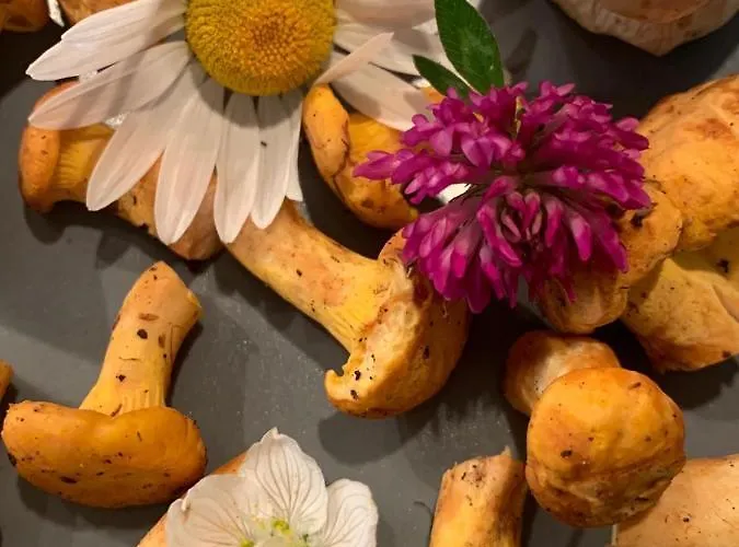 Gæstehus Hinterseer