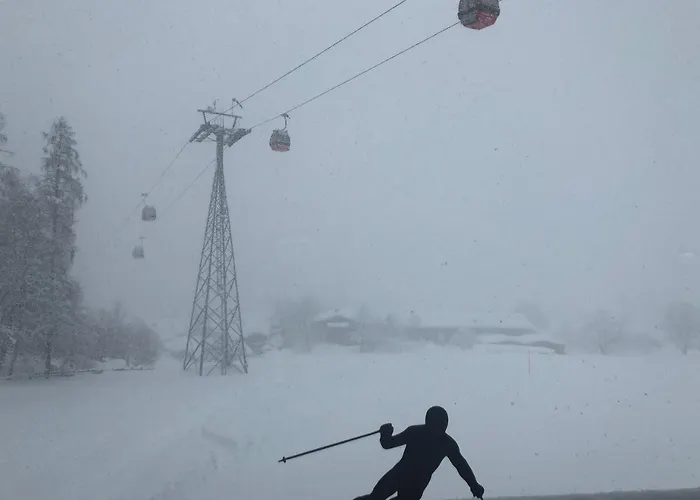 Hinterseer Gæstehus 4*