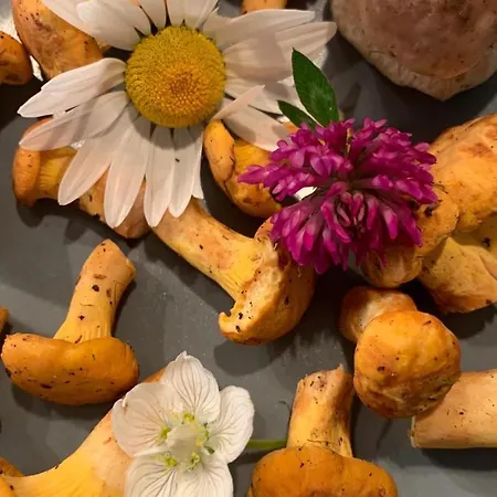 Πανσιόν Hinterseer